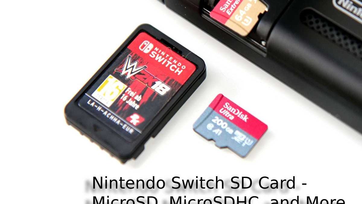 Nintendo Switch SD Card – MicroSD, MicroSDHC, and More