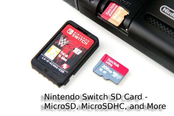 Nintendo Switch SD Card