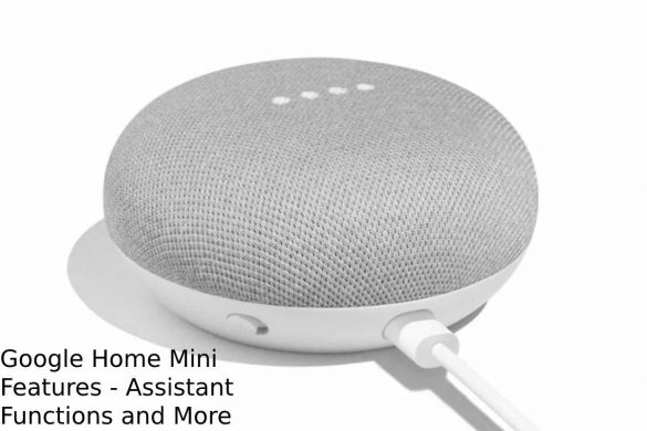 Google Home Mini Features