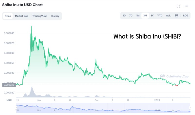 What is Shiba Inu (SHIB)_