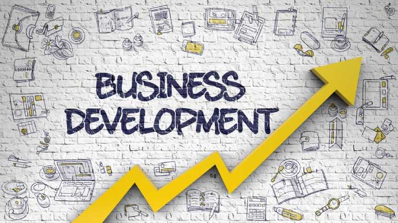 What does a Business Development Manager do_