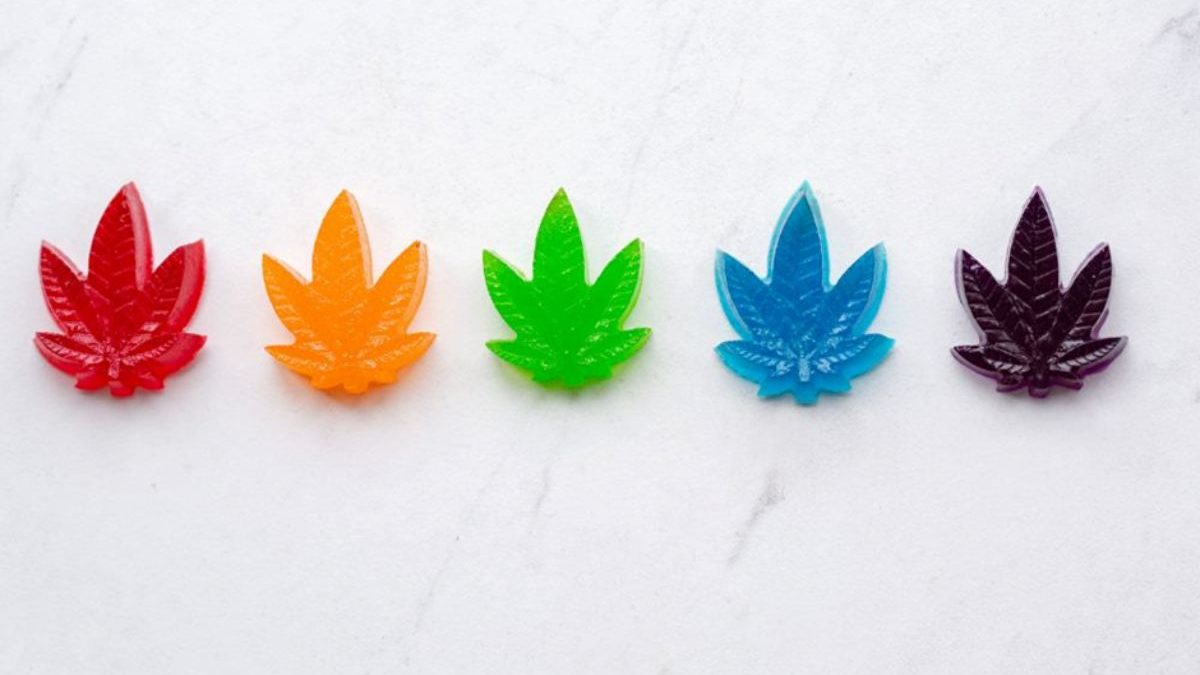 5 CBD Gummies To Treat Your Taste Buds