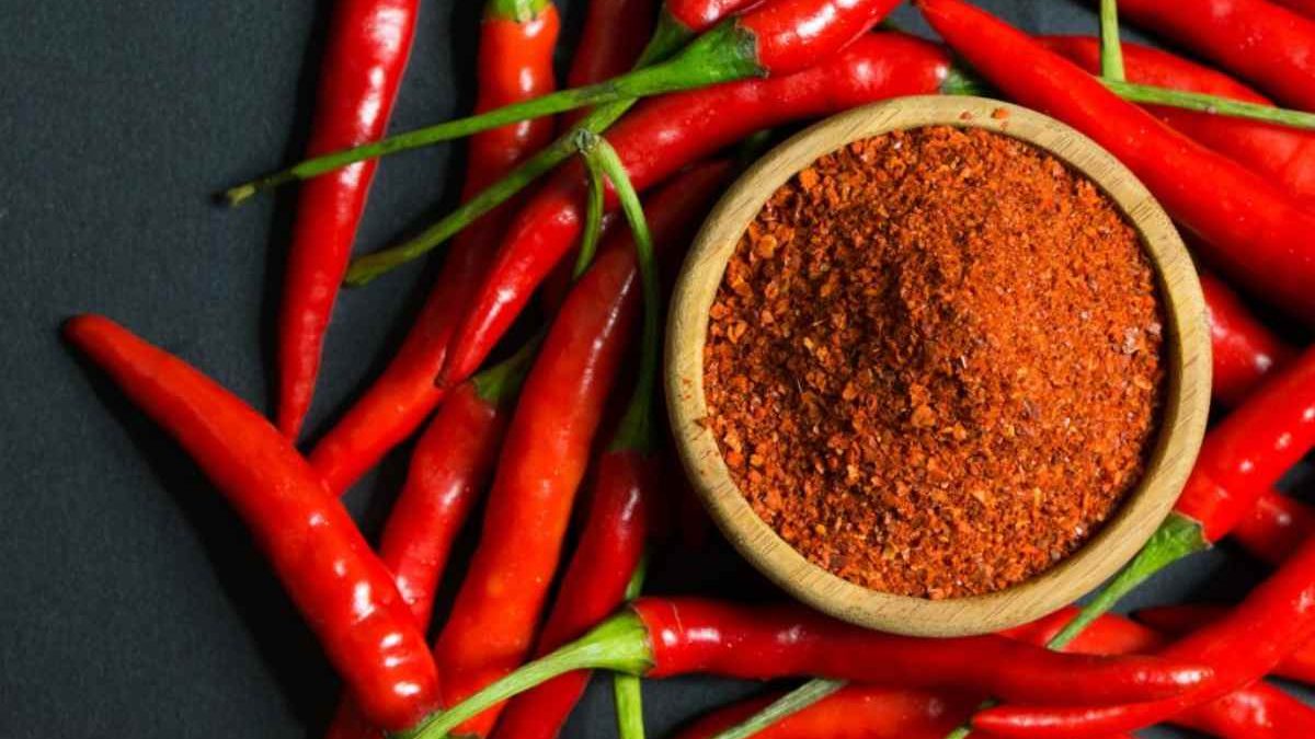 wellhealthorganic.com:red-chilli-you-should-know-about-red-chilli-uses-benefits-side-effects
