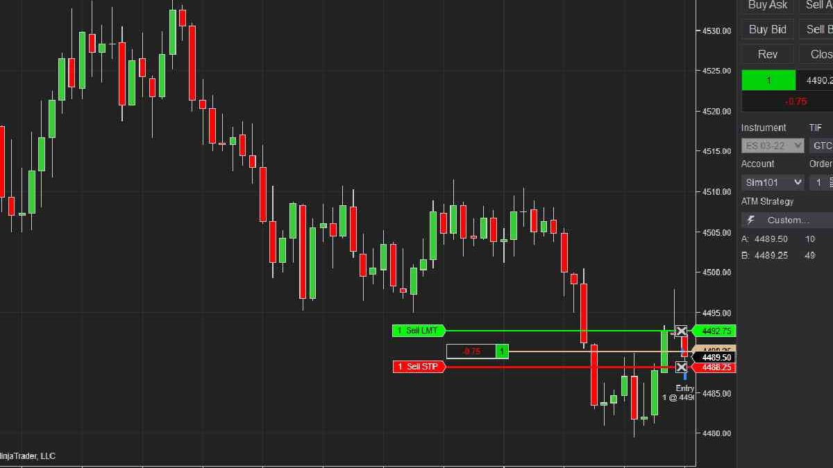 What Is Paper Trading and How Does it Work? A Beginner’s Guide