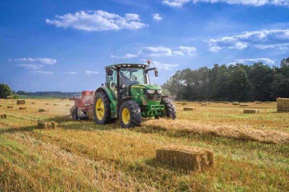 Top Tips for Starting an Agribusiness