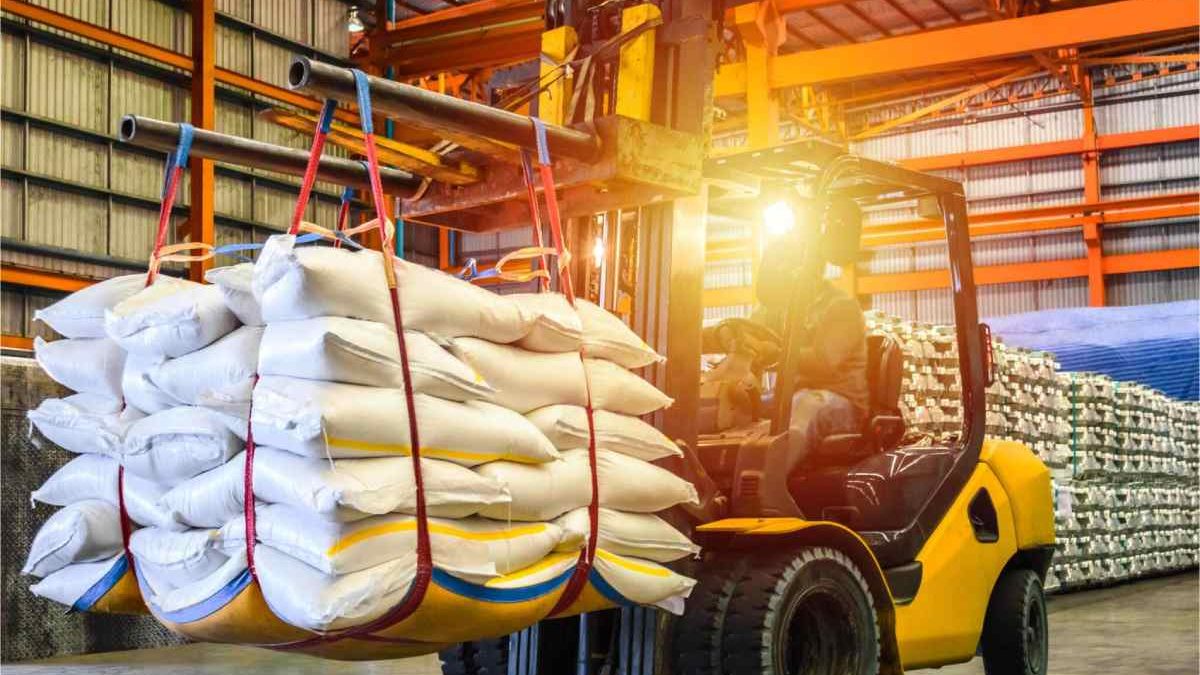 What are the Types of Material Handling Equipment?
