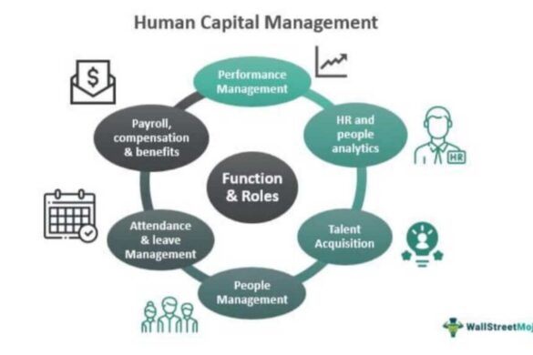 essential elements of human capital management