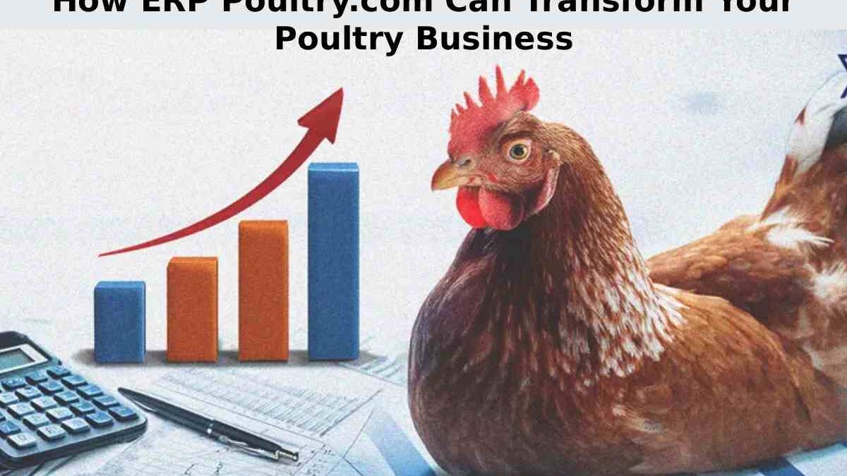 How ERP Poultry.com Can Transform Your Poultry Business
